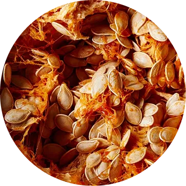 ingredient-item-img